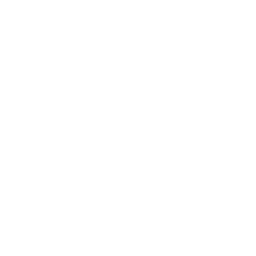 RZQ Burger Dublin logo.
